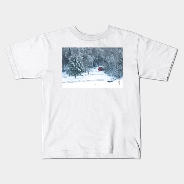 Snowy Day on Lower Michigan Road Kids T-Shirt by srwdesign